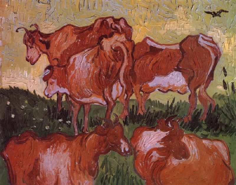 Vincent Van Gogh Cows (nn04) France oil painting art